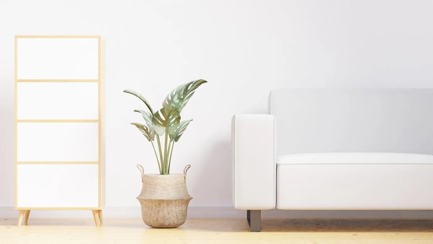 A minimal open-plan Bali villa living room with wood and plants
