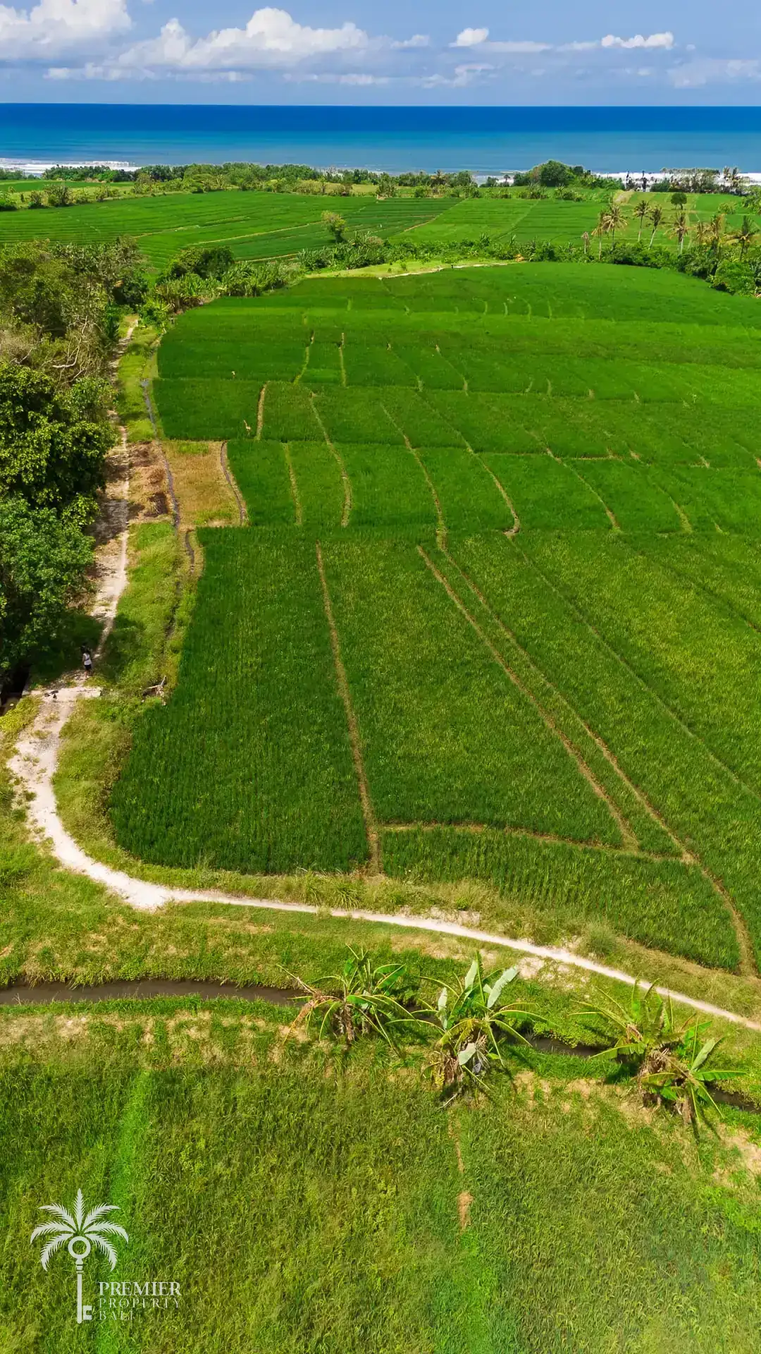 TIBUBIU — 4,000 sqm freehold and leasehold land near Tanah Lot — Kerambitan, Bali (photo 1)