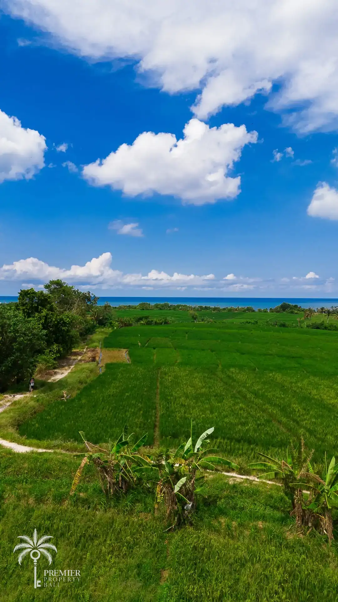 TIBUBIU — 4,000 sqm freehold and leasehold land near Tanah Lot — Kerambitan, Bali (photo 2)