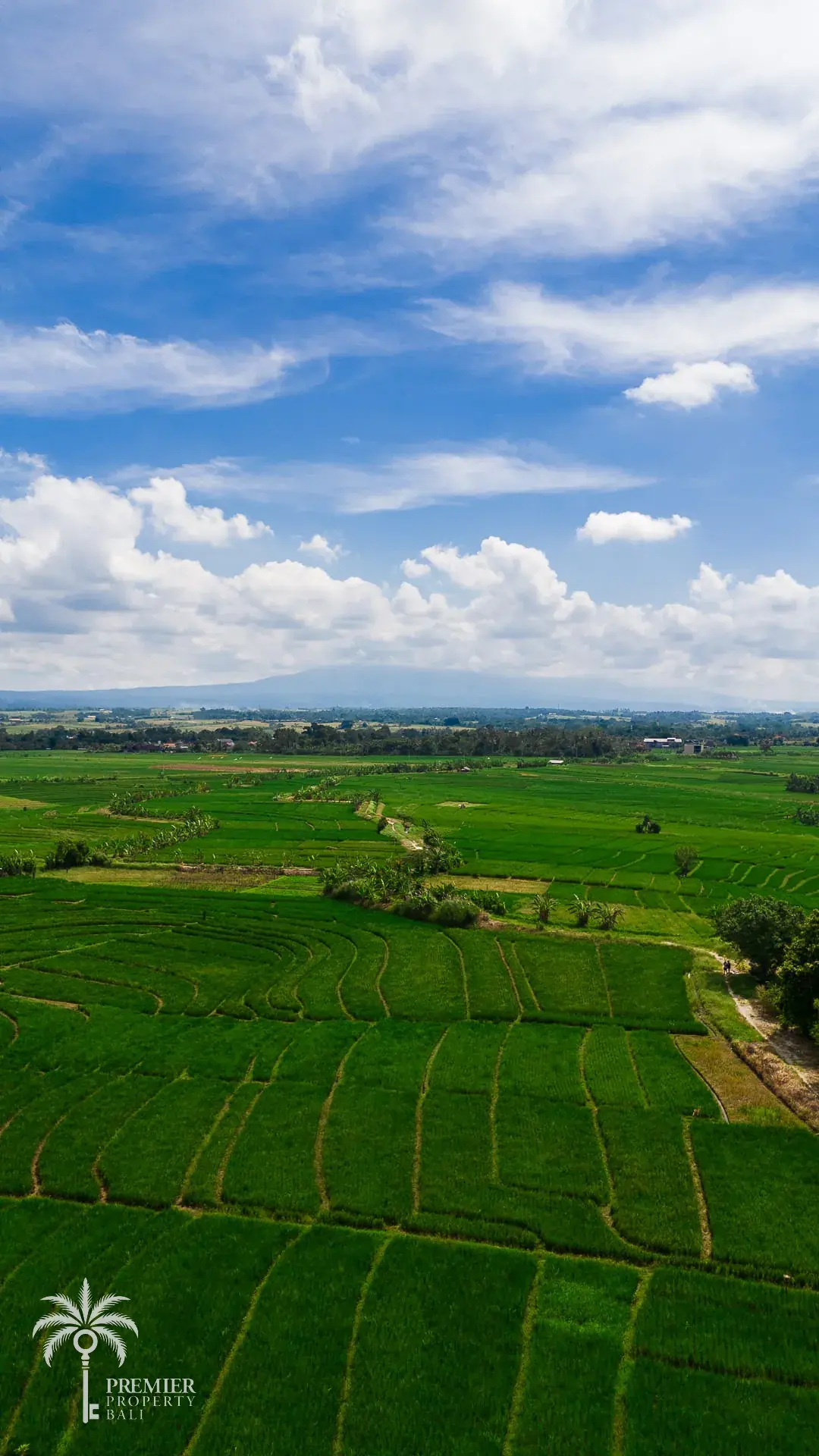 TIBUBIU — 4,000 sqm freehold and leasehold land near Tanah Lot — Kerambitan, Bali (photo 3)