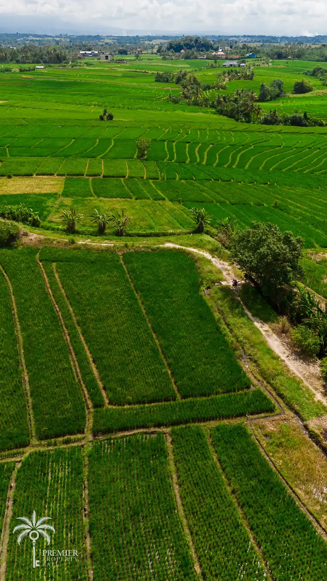TIBUBIU — 4,000 sqm freehold and leasehold land near Tanah Lot — Kerambitan, Bali (photo 4)
