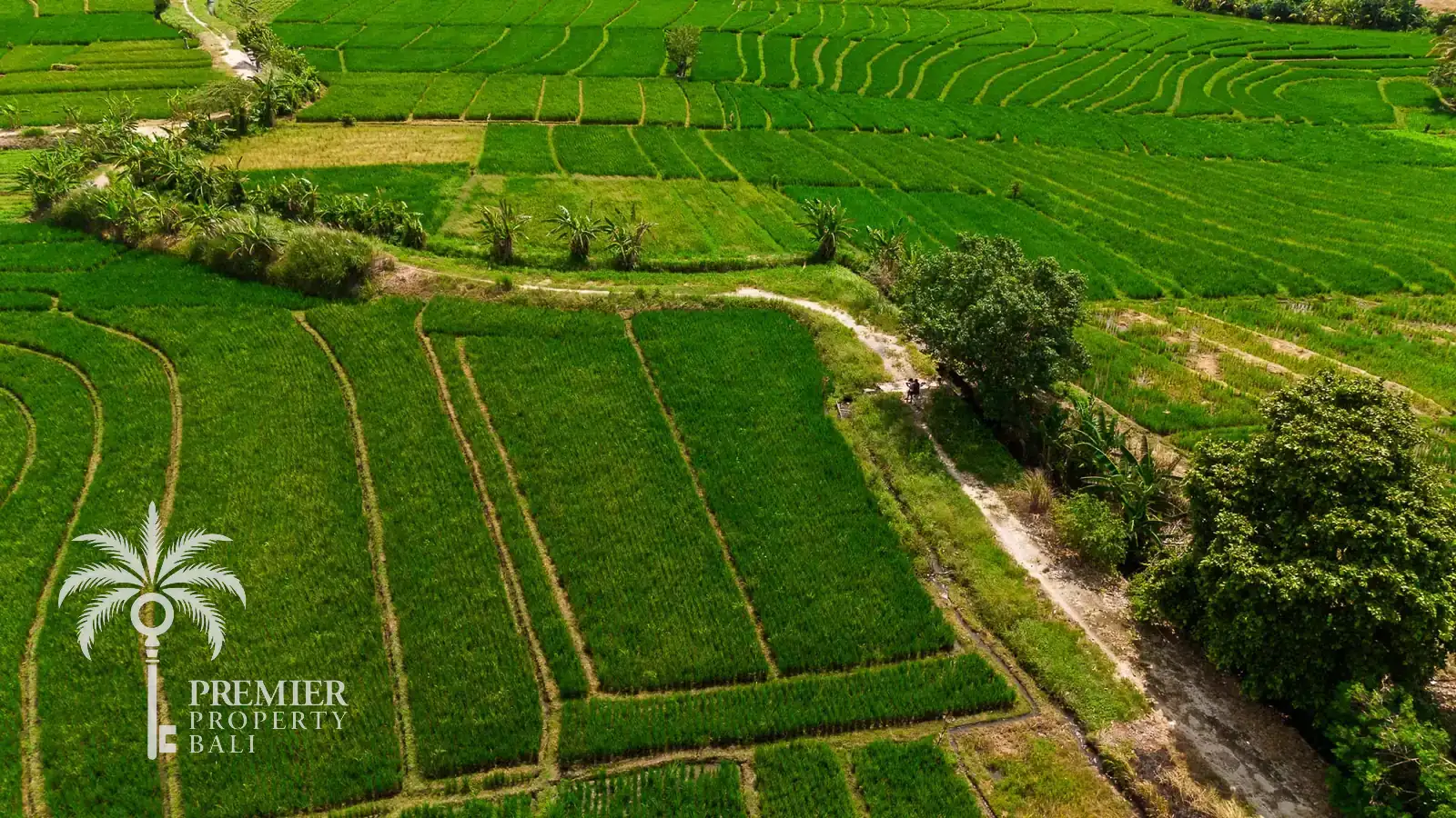 TIBUBIU — 4,000 sqm freehold and leasehold land near Tanah Lot — Kerambitan, Bali (photo 5)