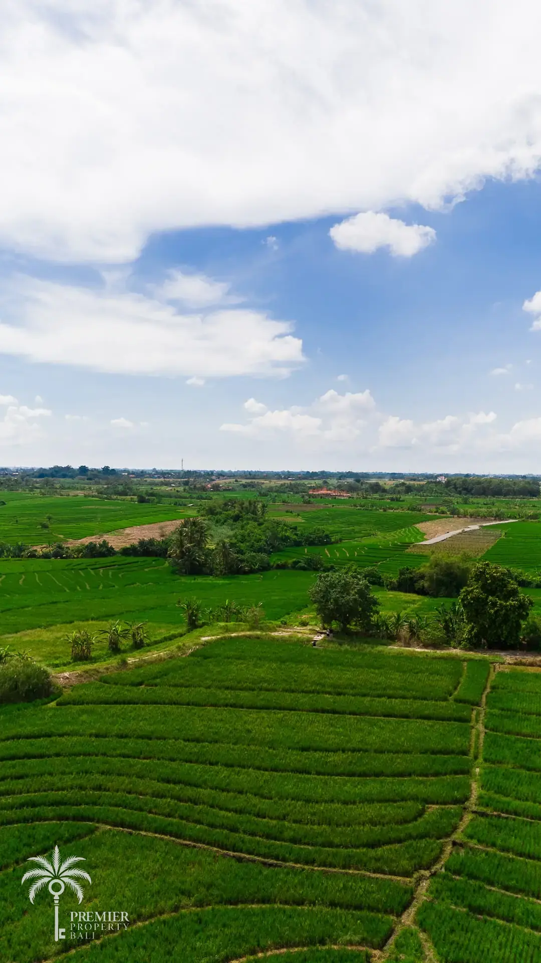 TIBUBIU — 4,000 sqm freehold and leasehold land near Tanah Lot — Kerambitan, Bali (photo 6)