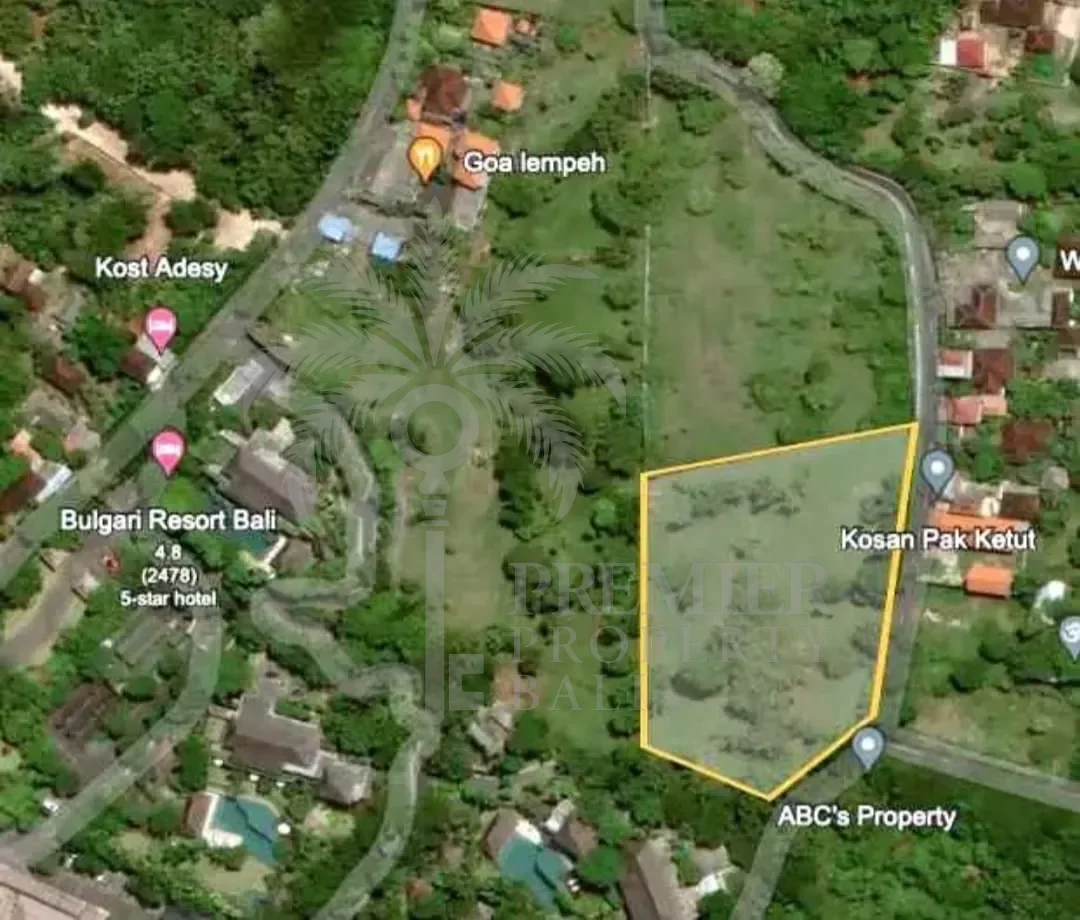 PECATU CLIFF — 6,000 sqm pink zone freehold, steps from Bulgari and Six Senses — Pecatu, Bali (photo 4)