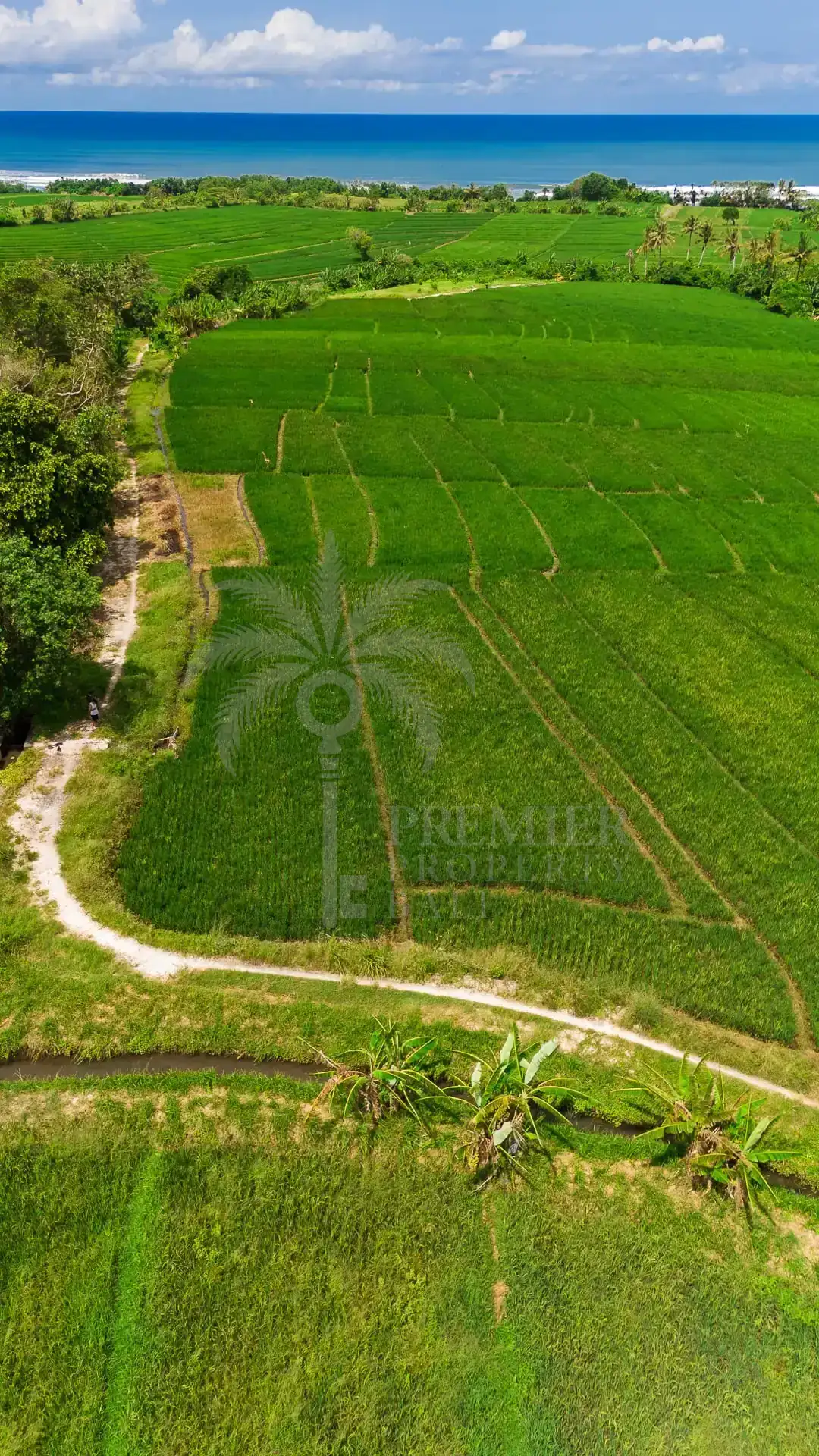 TIBUBIU — 4,000 sqm freehold and leasehold land near Tanah Lot — Kerambitan, Bali (photo 3)