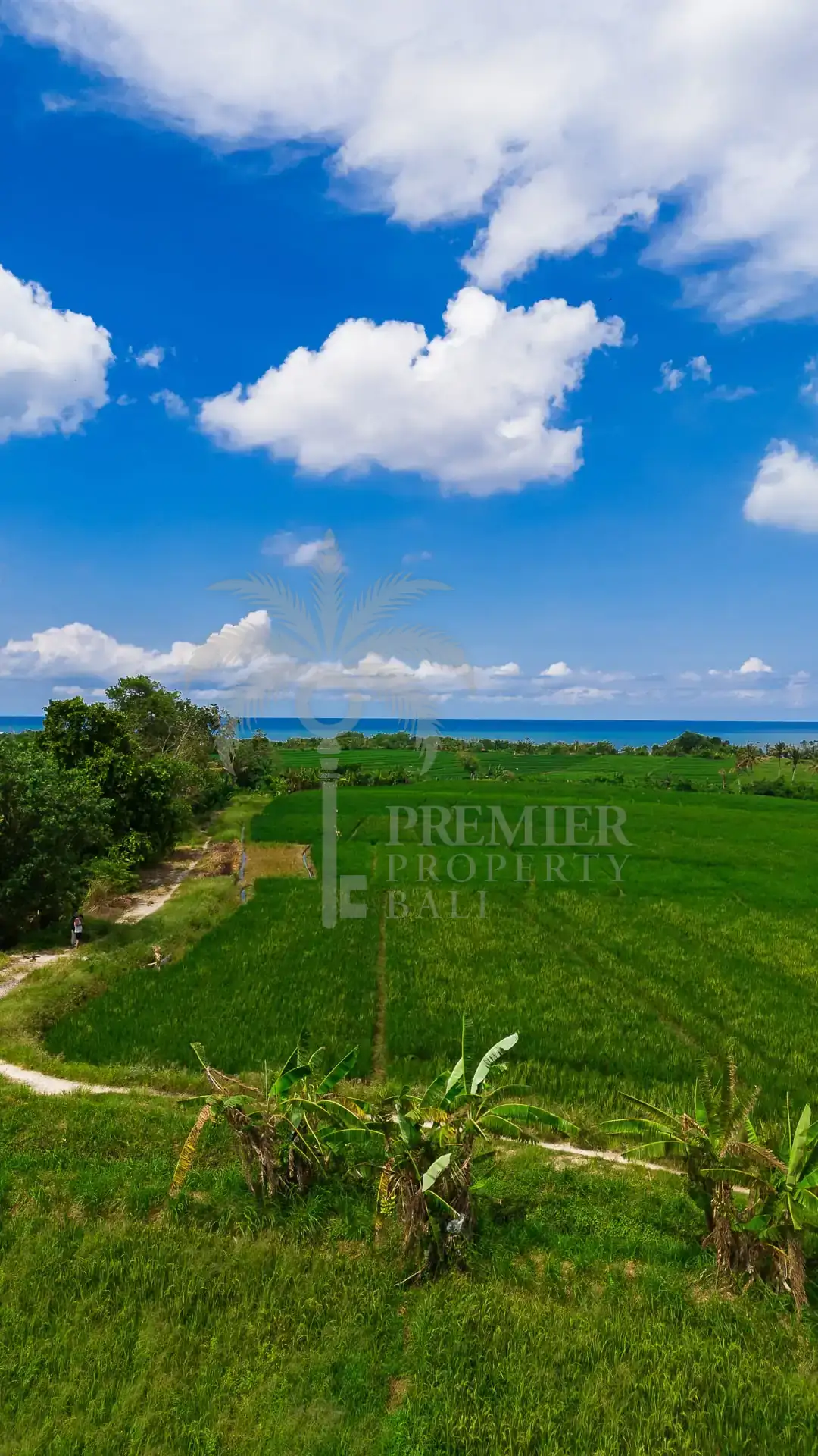 TIBUBIU — 4,000 sqm freehold and leasehold land near Tanah Lot — Kerambitan, Bali (photo 2)
