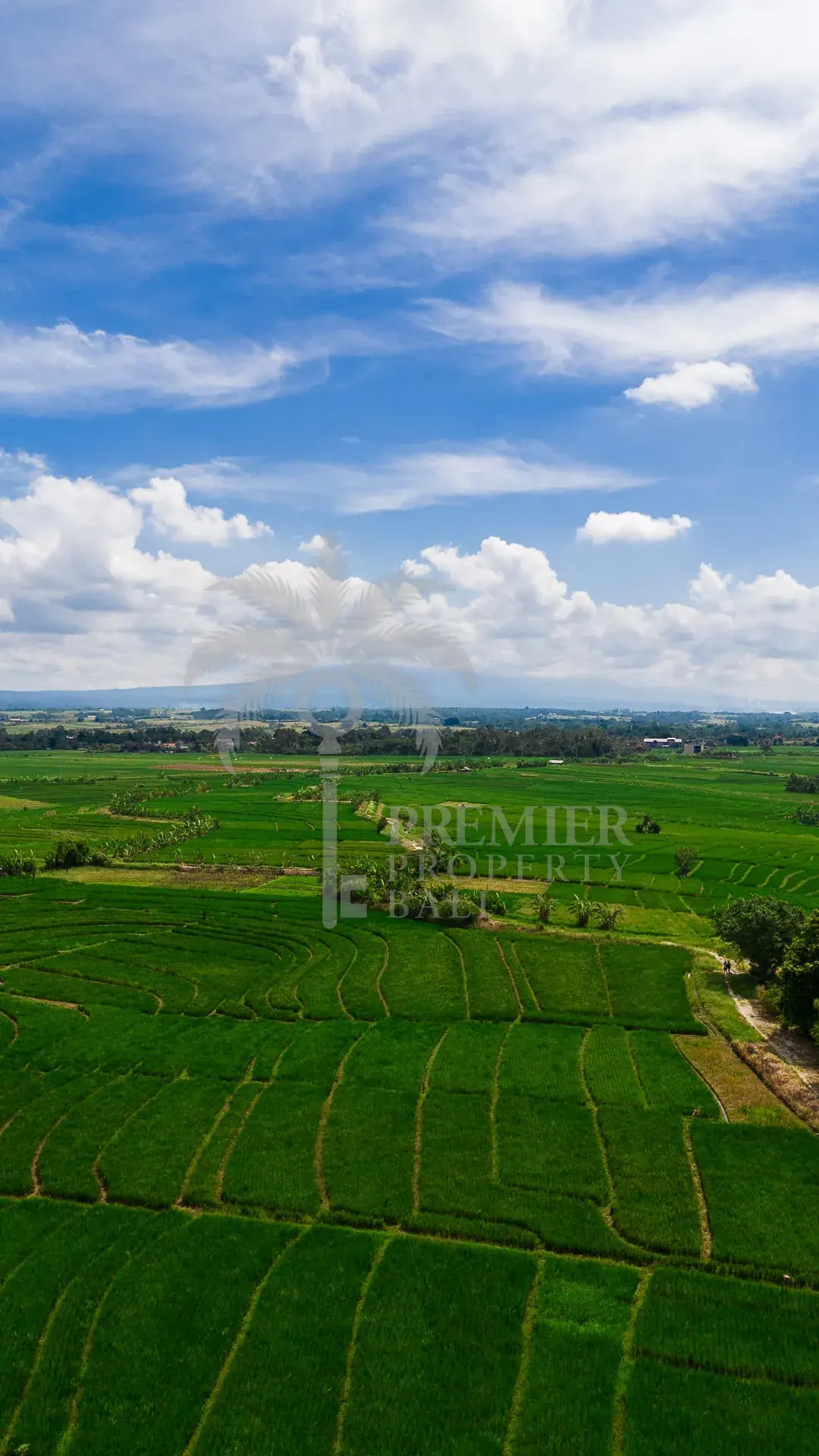 TIBUBIU — 4,000 sqm freehold and leasehold land near Tanah Lot — Kerambitan, Bali (photo 5)