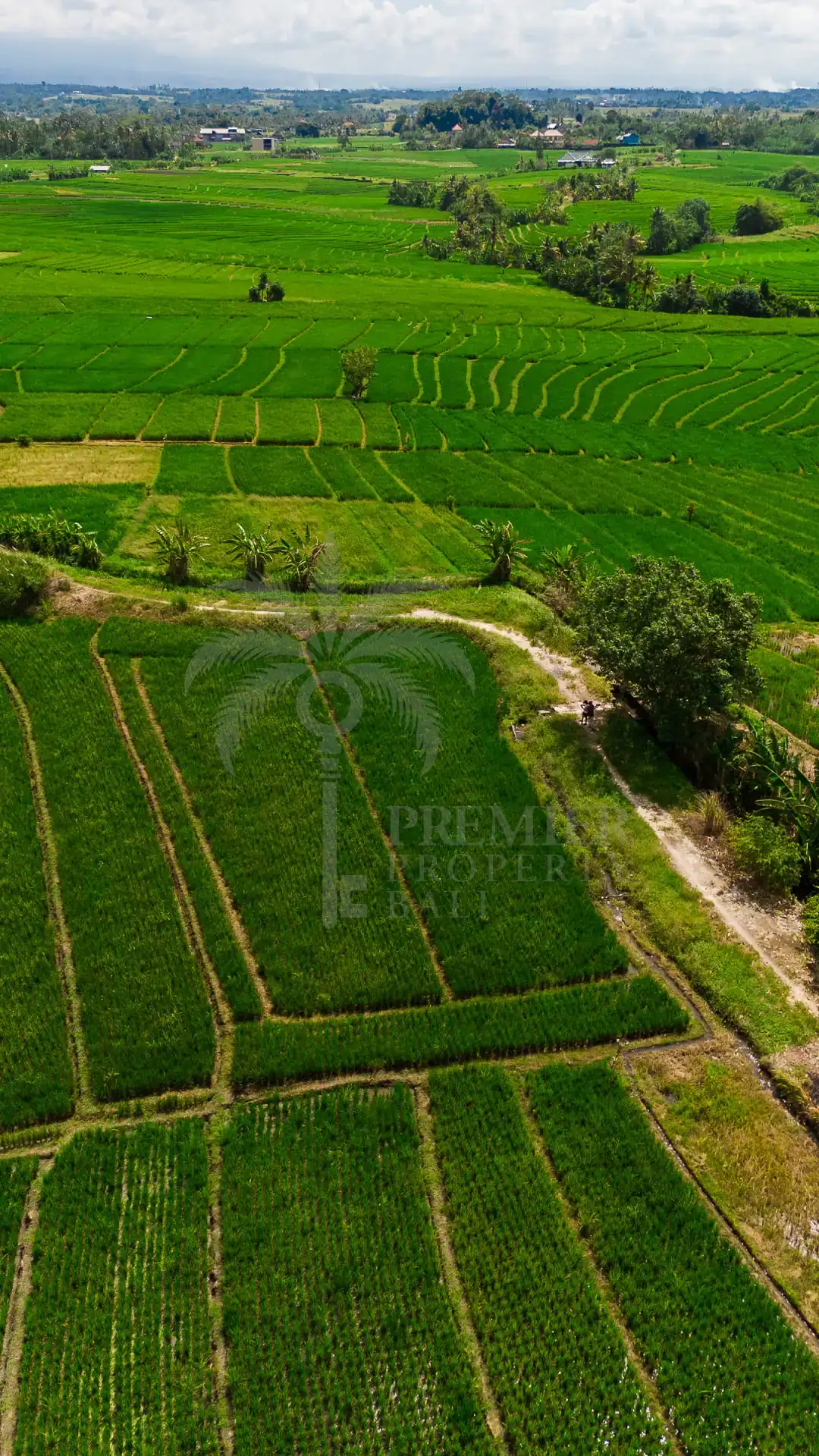 TIBUBIU — 4,000 sqm freehold and leasehold land near Tanah Lot — Kerambitan, Bali (photo 4)