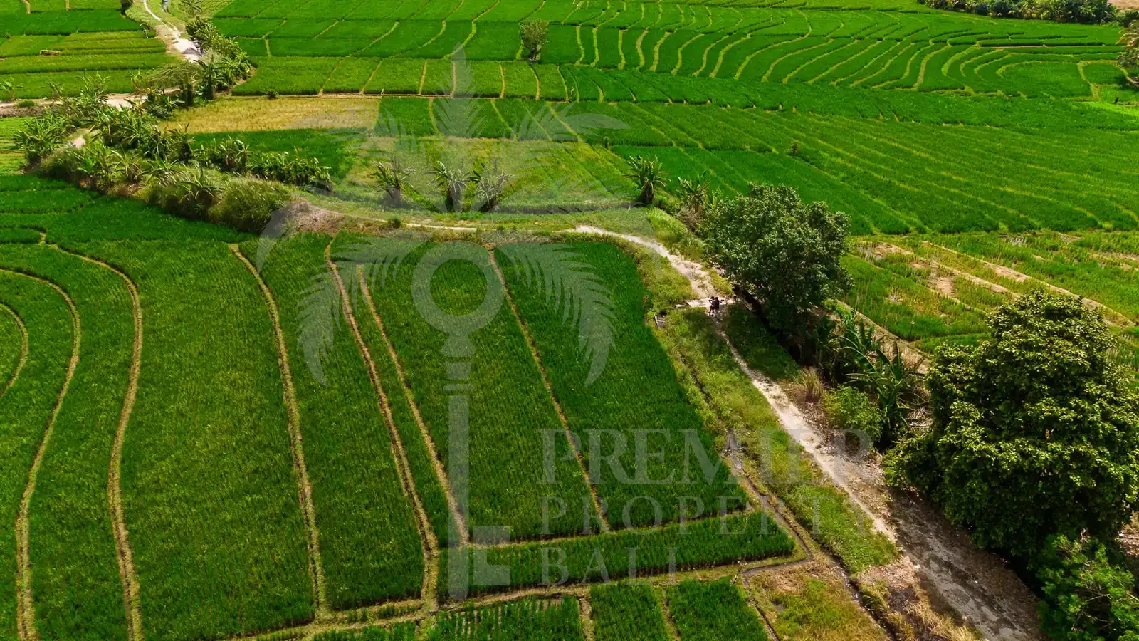 TIBUBIU — 4,000 sqm freehold and leasehold land near Tanah Lot — Kerambitan, Bali (photo 1)