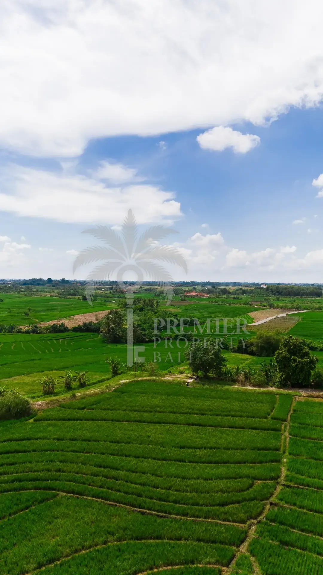 TIBUBIU — 4,000 sqm freehold and leasehold land near Tanah Lot — Kerambitan, Bali (photo 6)