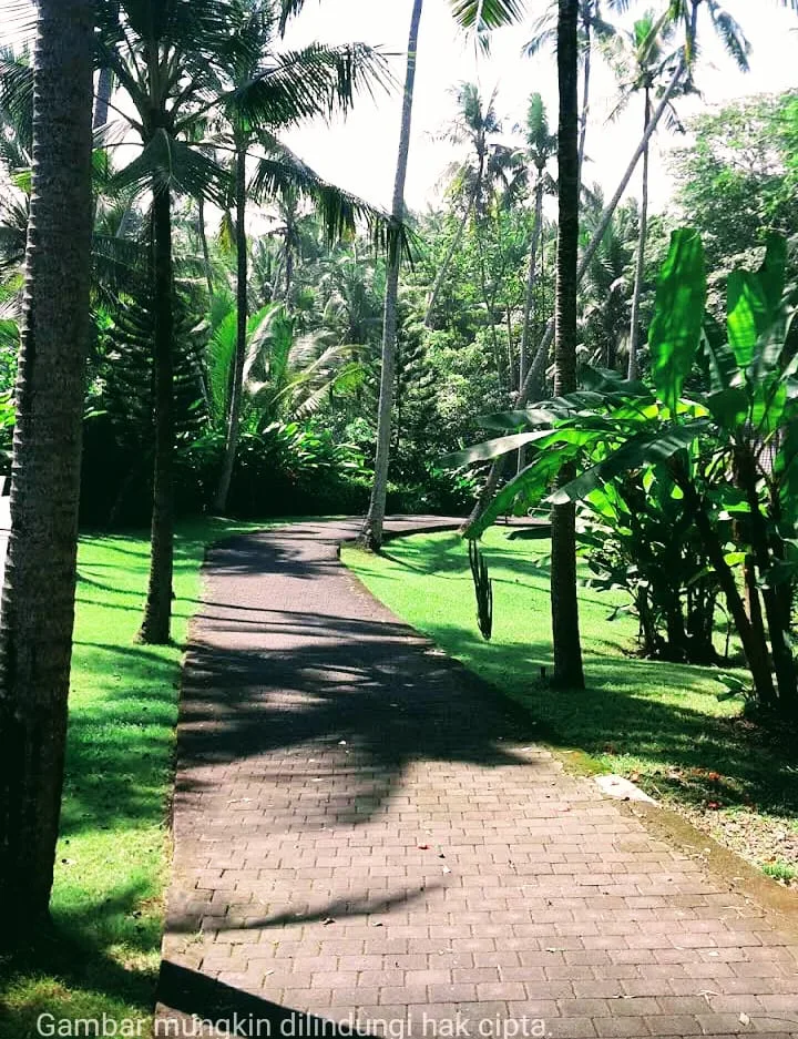 SALOKA, Tabanan, Bali — photo 17