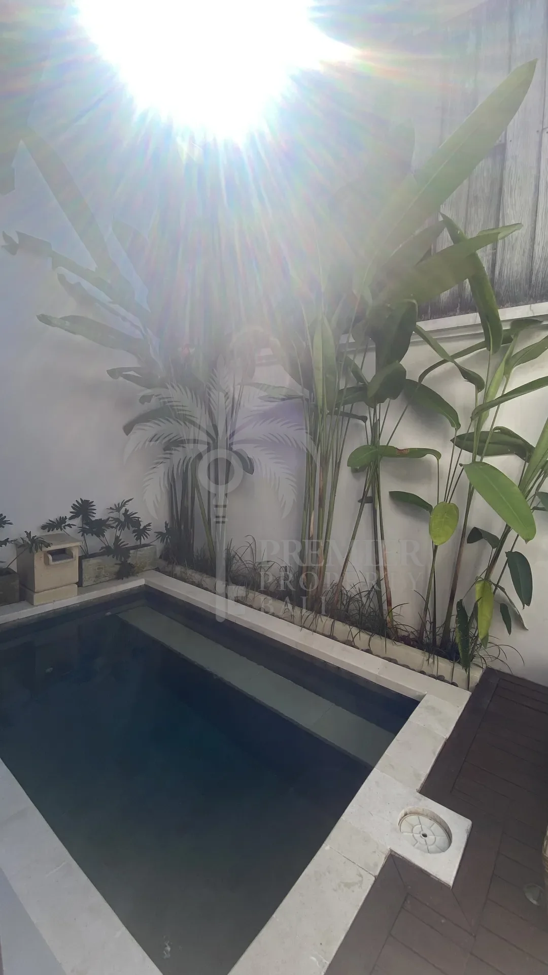 PENTA OASIS — 5 private suites, one exclusive investment compound in Ubud — Ubud, Bali (photo 5)