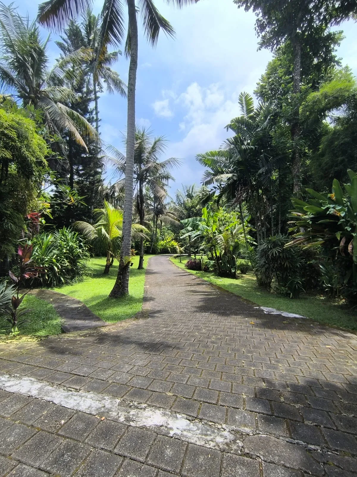 SALOKA, Tabanan, Bali — photo 8
